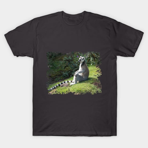 Lemur T-Shirt by Nicole Gath Photography